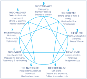 Birds as Enneagram Types - North Carolina Birding Trail